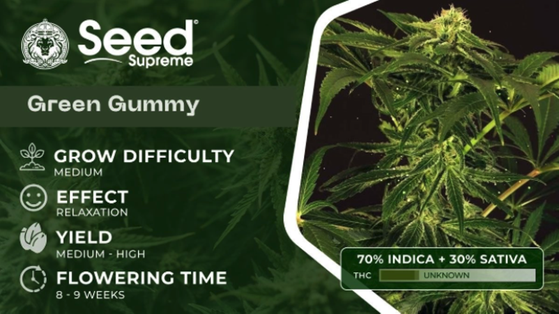 6 Most Exotic Weed Strains To Try in 2025