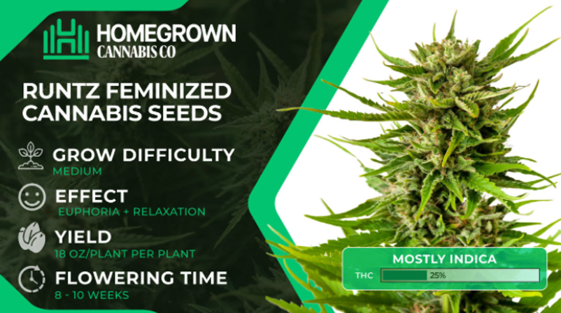 6 Most Exotic Weed Strains To Try in 2025