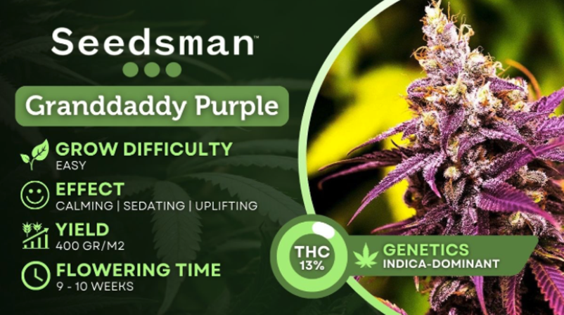 6 Most Exotic Weed Strains To Try in 2025