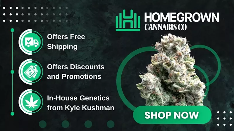Blue Dream Seeds Info 2025: Genetics, Benefits & Where to Buy (5)