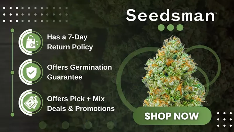 Blue Dream Seeds Info 2025: Genetics, Benefits & Where to Buy (12)