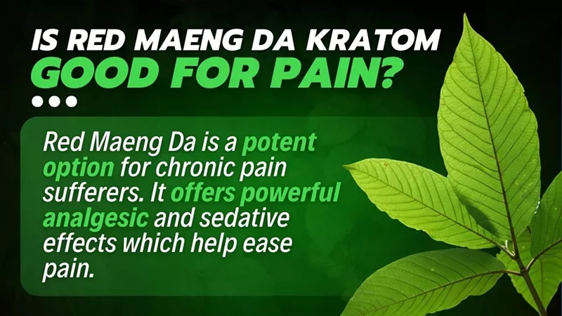 Maeng Da Kratom Dosage for Pain Guide: Benefits, Effects & the Best Vendors