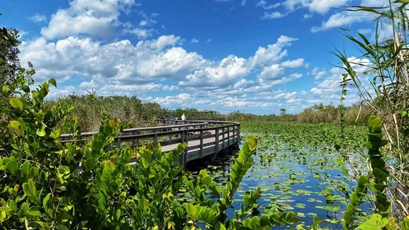 Visiting the Florida Everglades National Park – My Favorite Things to Do