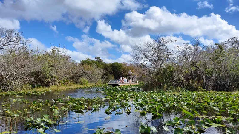 Visiting the Florida Everglades National Park – My Favorite Things to Do