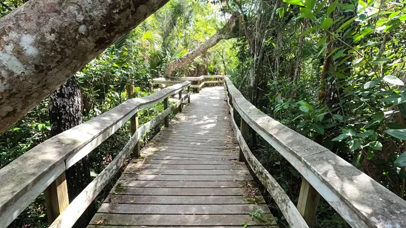 Visiting the Florida Everglades National Park – My Favorite Things to Do