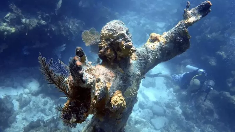 Key Largo Adventure – Sun, Snorkeling, and Surprises for All Ages