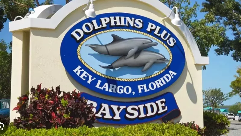 Key Largo Adventure – Sun, Snorkeling, and Surprises for All Ages