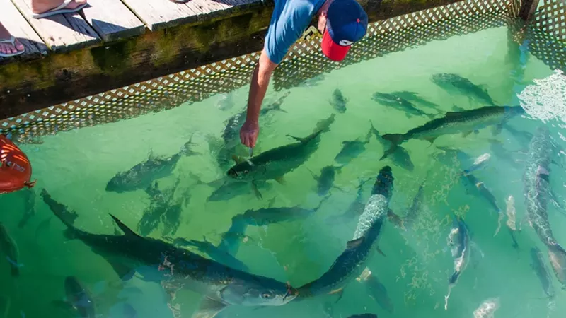 Key Largo Adventure – Sun, Snorkeling, and Surprises for All Ages