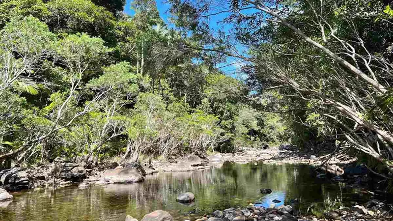 Why Airlie Beach is a Must-Visit for Backpackers and Luxury Travelers