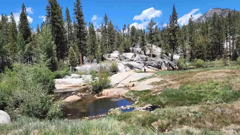 My Trip to Bass Lake, California: A Serene Sierra Getaway I Didn’t Know I Needed