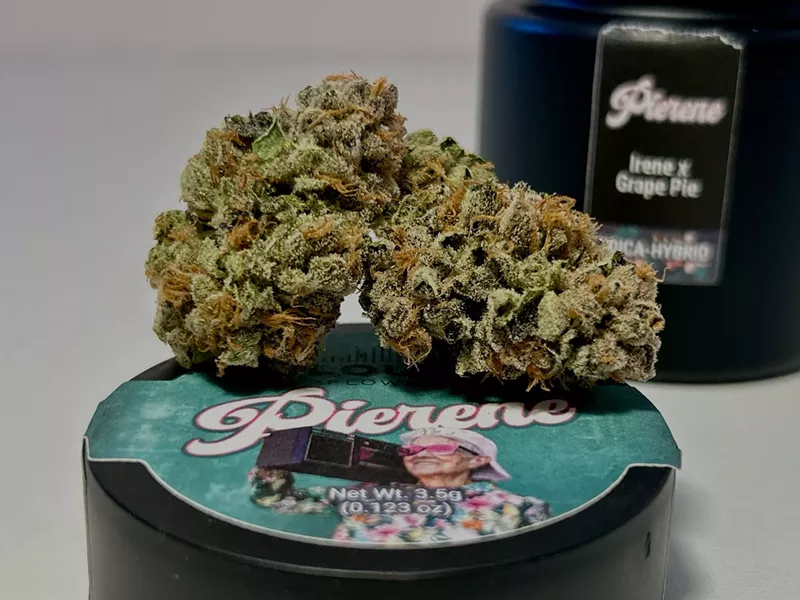 Mi Loud grows some of the most pungent, potent cannabis in Michigan. Pierene is a cross between Irene and Grape Pie. - Steve Neavling