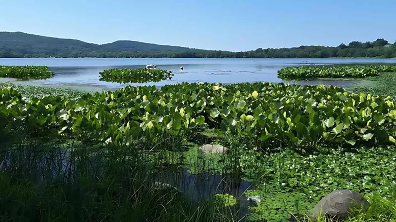 Scenic Lakes Around New York to Explore This Season