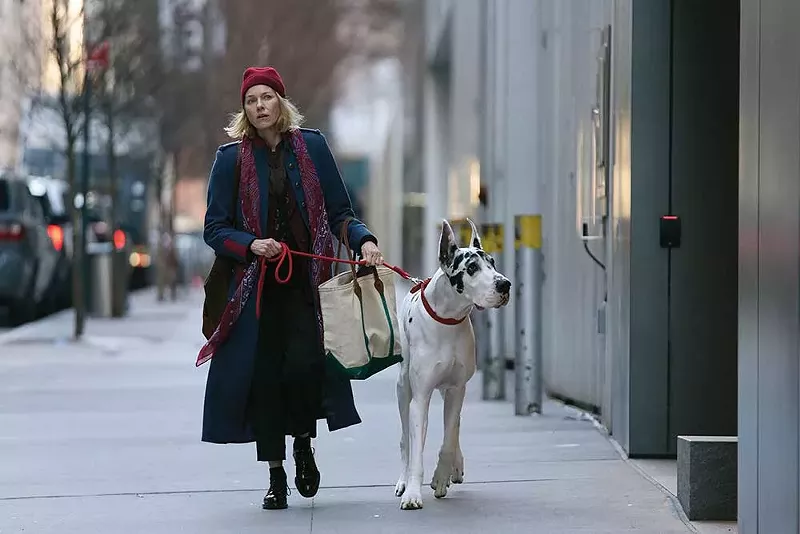 Naomi Watts and a furry companion in The Friend. - Bleeker Street