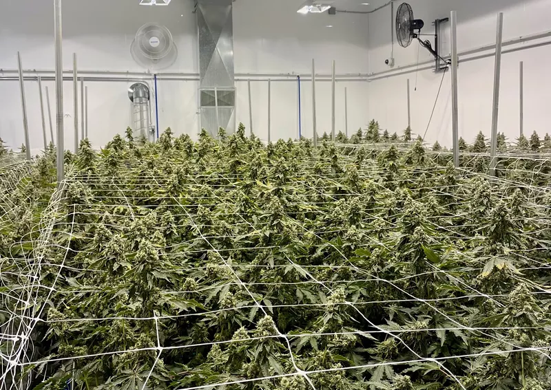 Exotic Matter's indoor grow in Kalkaska. - Courtesy of Exotic Matter