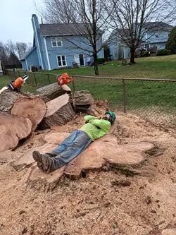 Two Brothers, One Dream: Immigrants Building Detroit’s Tree Service Legacy