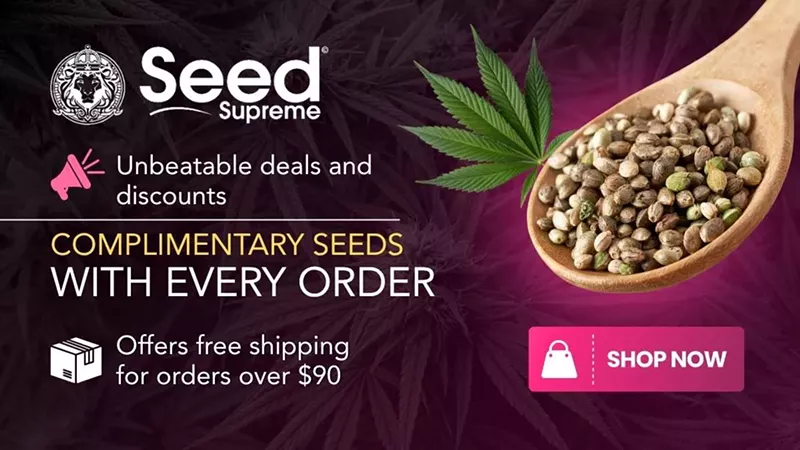 Best Seed Banks in 2025: Cannabis Breeders to Buy Cannabis Seeds Online