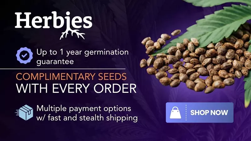 Best Seed Banks in 2025: Cannabis Breeders to Buy Cannabis Seeds Online