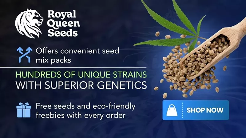 Best Seed Banks in 2025: Cannabis Breeders to Buy Cannabis Seeds Online