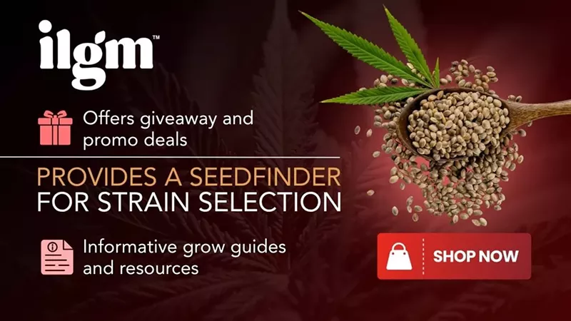 Best Seed Banks in 2025: Cannabis Breeders to Buy Cannabis Seeds Online