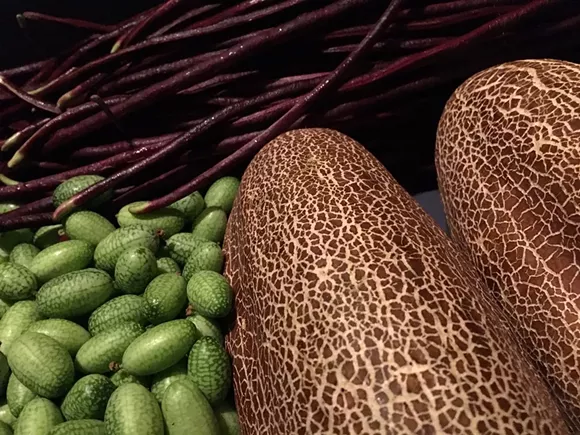 Mexican sour cucumbers, left, and cikkim cucumbers, right. - Courtesy photo