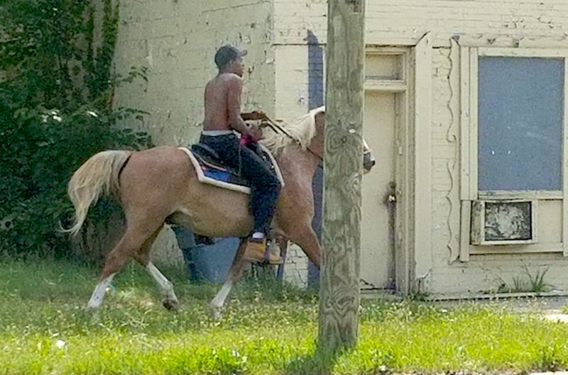 The mysterious horseman of Northwest Detroit spotted again