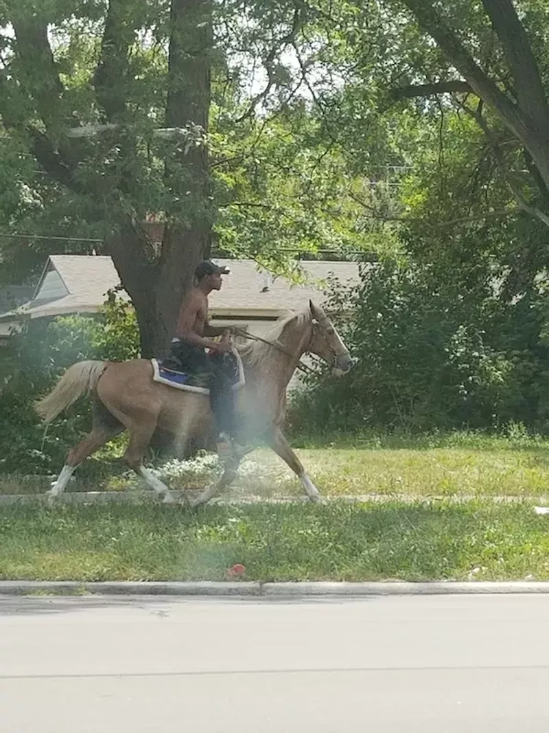 The mysterious horseman of Northwest Detroit spotted again