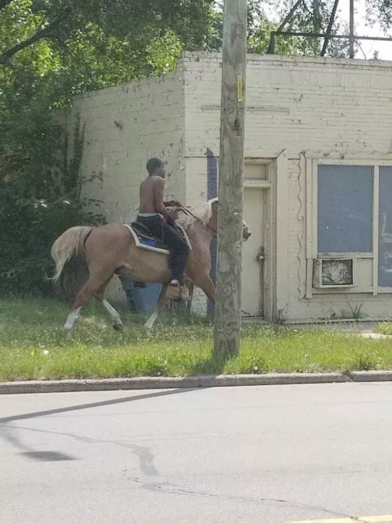 The mysterious horseman of Northwest Detroit spotted again