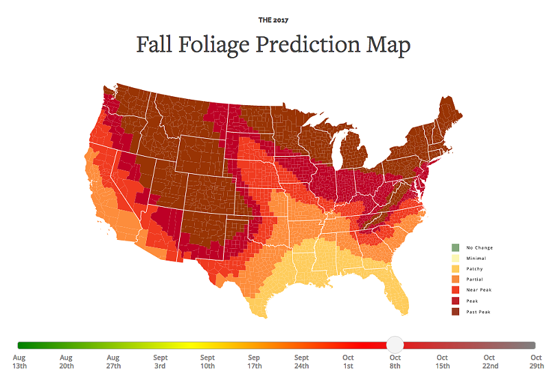 Michigan fall foliage may be here sooner than you think