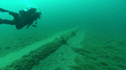 In 2013, the National Wildlife Federation sent divers to look at Enbridge, Inc.'s aging straits pipelines, finding wide spans of unsupported structures encrusted with exotic zebra mussels and quagga mussels. - National Wildlife Federation.