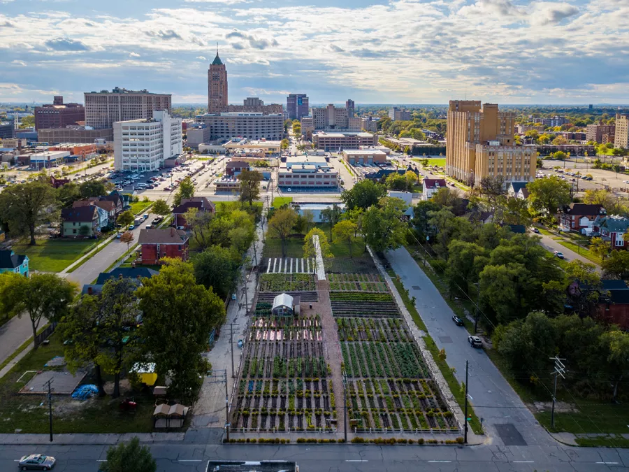 On urban farming and 'colonialism' in Detroit's North End neighborhood