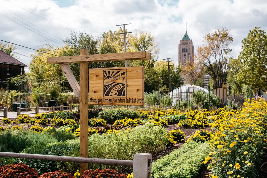 On urban farming and 'colonialism' in Detroit's North End neighborhood