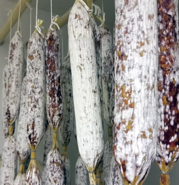 Meet Black Pig, Michigan's first (legit) dry cure salumists