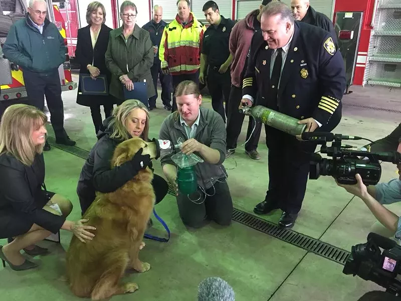 Detroit Fire Department receives 800 pet oxygen masks