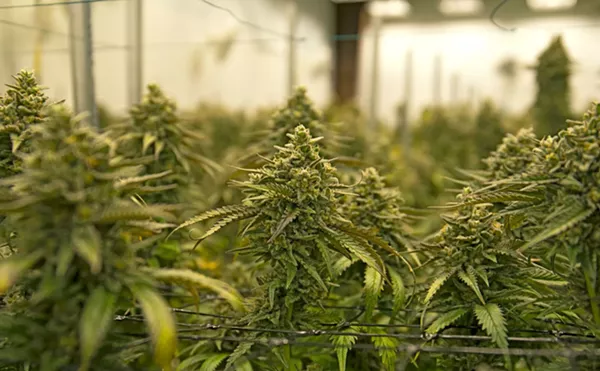 Highland Park’s marijuana ordinance has prompted several lawsuits and disputes between city officials.