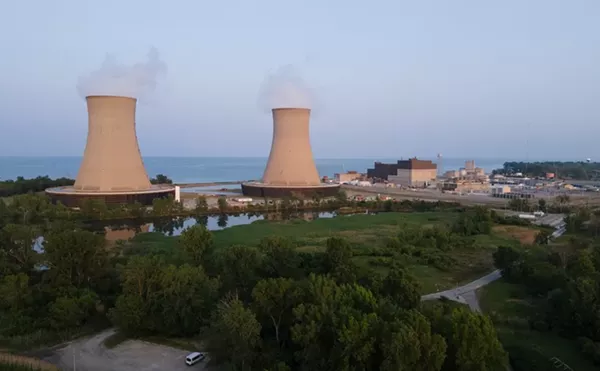 The Fermi 2 nuclear power plant was shut down on Saturday after a leak was detected.