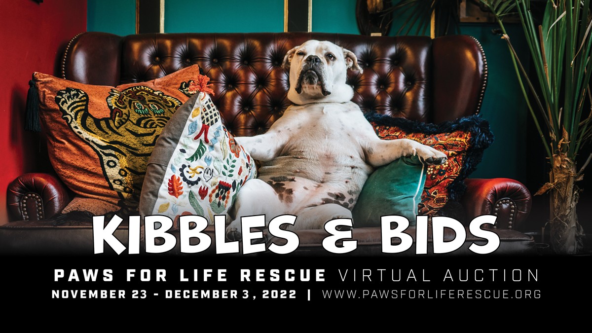 Third annual Kibbles & Bids kicks off Nov. 23 at noon