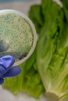 CDC: It's safe to eat romaine lettuce in Michigan