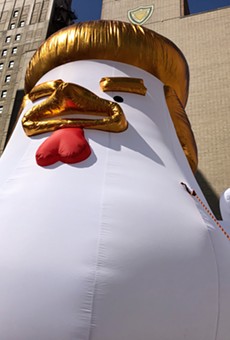 An oversized, inflated Donald Trump chicken.