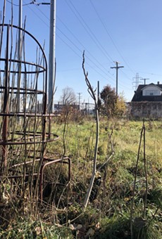 In 2007, inspectors found an alarming amount of lead in the soil at Bridgeview Park in the shadow of the sprawling Marathon Oil refinery in Southwest Detroit.