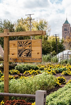 On urban farming and 'colonialism' in Detroit's North End neighborhood