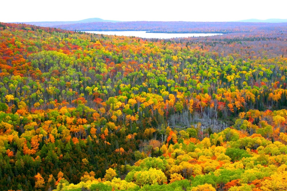 USA Today readers say Michigan's Upper Peninsula has the nation's best