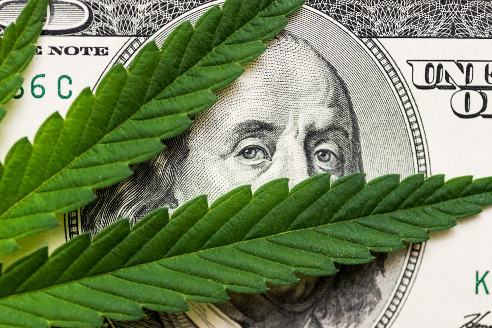 $59.5M from cannabis taxes headed to Michigan municipalities