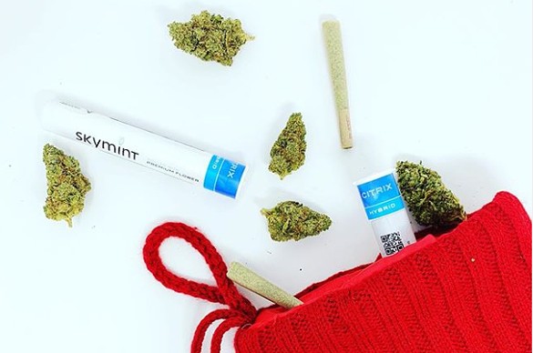 Skymint Pre-Rolls
    Available from: Skymint stores
    Rolled by hand with care, these pre-rolls feature premium, whole flower &#151; no trim, ever! &#151; and favorite strains like Ice Cream Cake #5, Ethos Cookies, Lava Cake, and more. $12 per pre-roll.
    Photo courtesy of Skymint