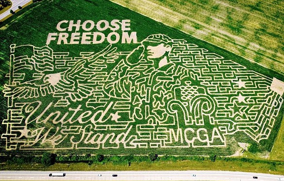 Farmer J's World Record Corn Maze
    16405 Pherdun Rd., Dundee; 734-717-2376; cornmazefun.net
  This Dundee-based maze broke two Guinness World Records in 2010 for world's longest corn maze path and world's biggest, coming in at 10.5 miles.