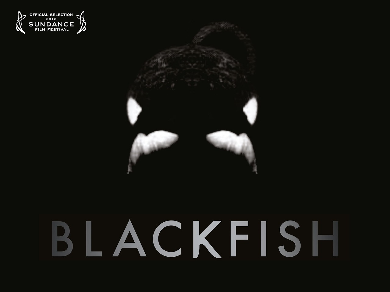 Blackfish Ready to hate SeaWorld forever? Ok, good. This documentary reveals the truths about the amusement park SeaWorld and how they treat their animals- especially the killer whales. This controversial documentary lit up a firestorm of people protesting SeaWorld and demanding they release the whales back into the wild. Granted this is a documentary so it is clearly showing one side, they make a solid claim to as why the park should be banned forever. Free Willy, indeed.