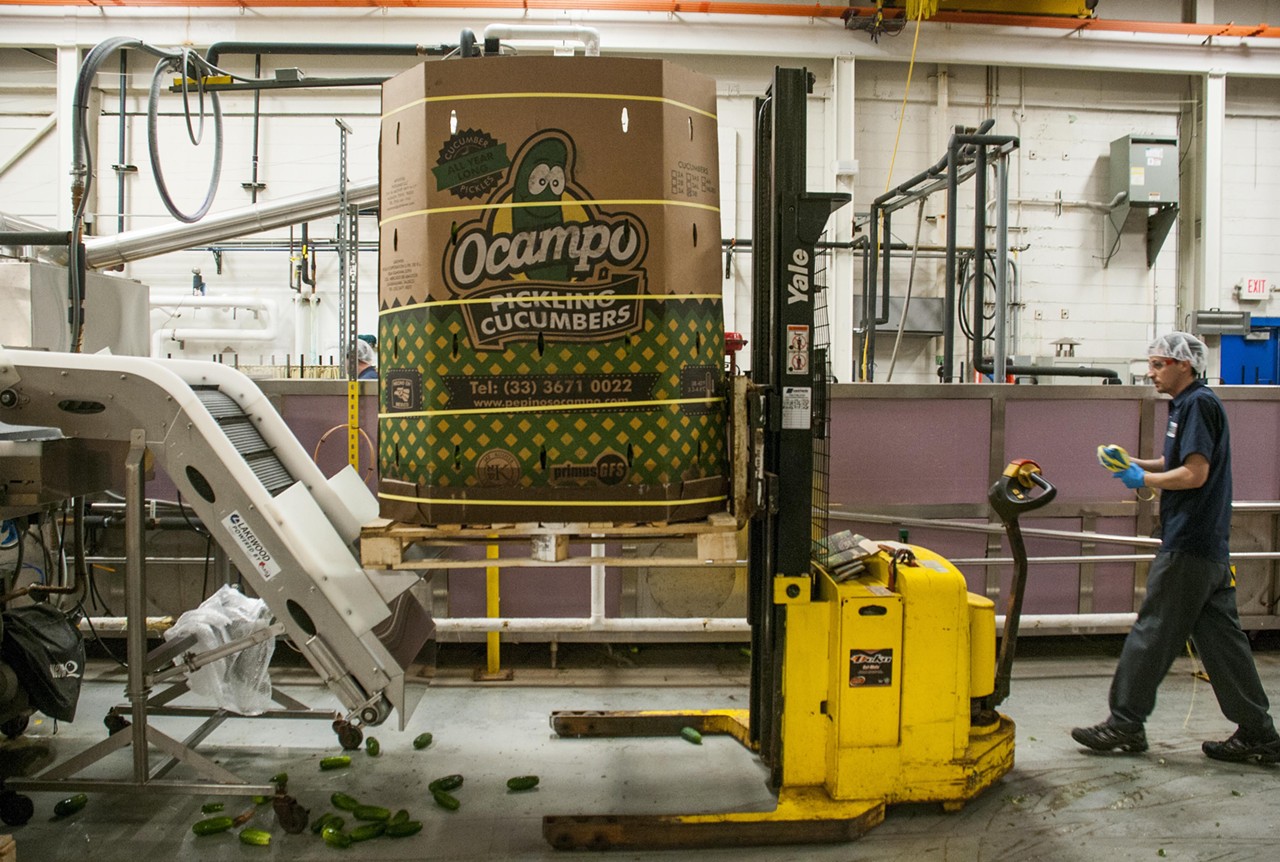The cucumbers' journey begins with a hoist on the forklift.