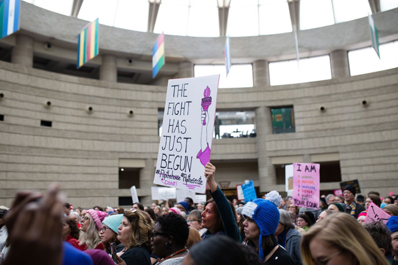 Everyone we saw at the Detroit Women's March at the Charles H. Wright Museum