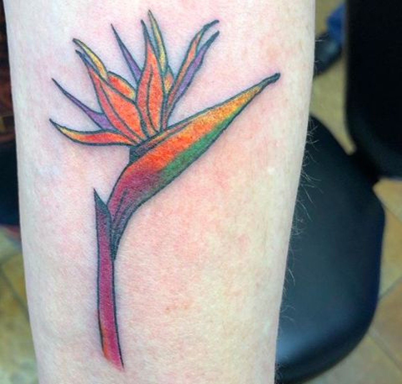 Caryl Cunningham  Flowers  Daisy tattoo designs Magnolia tattoo Female tattoo  artists