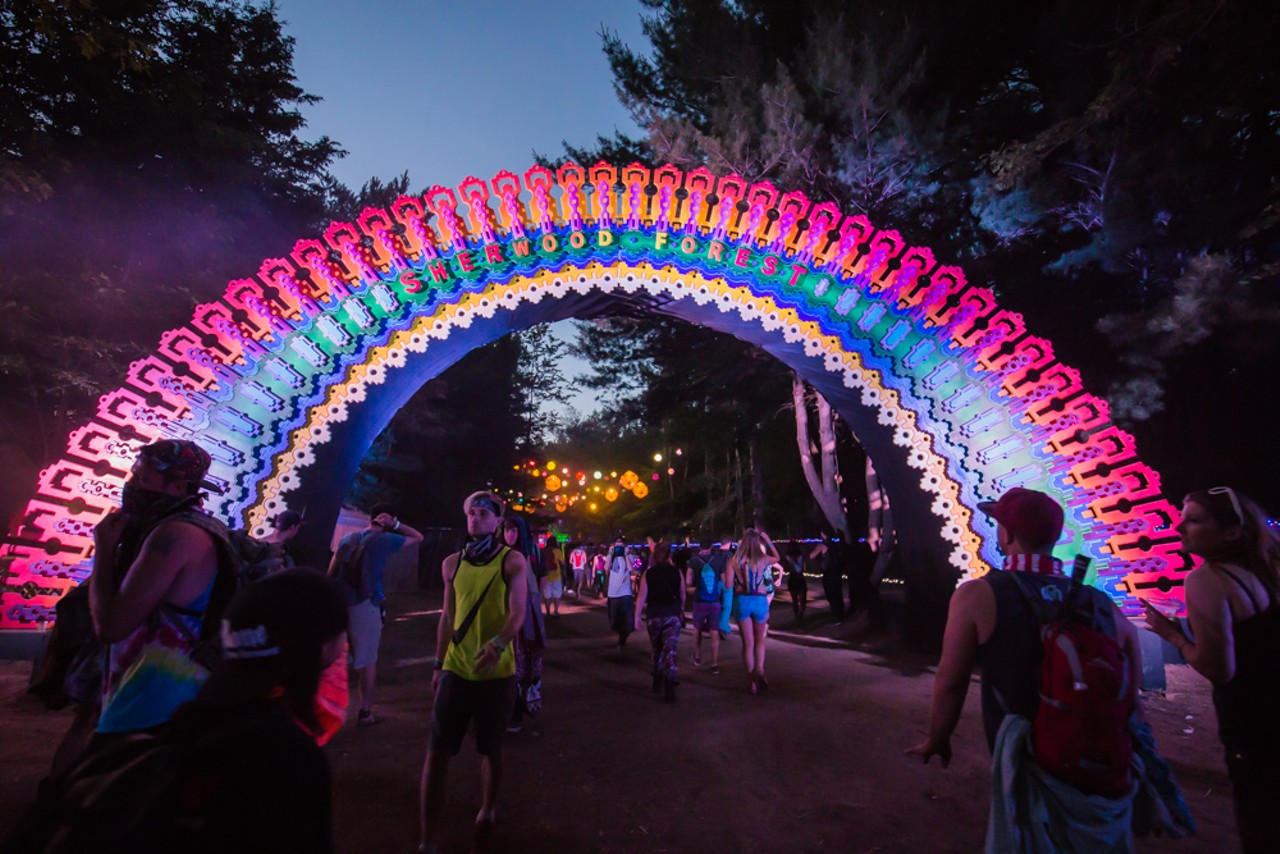 25 wild images from Electric Forest