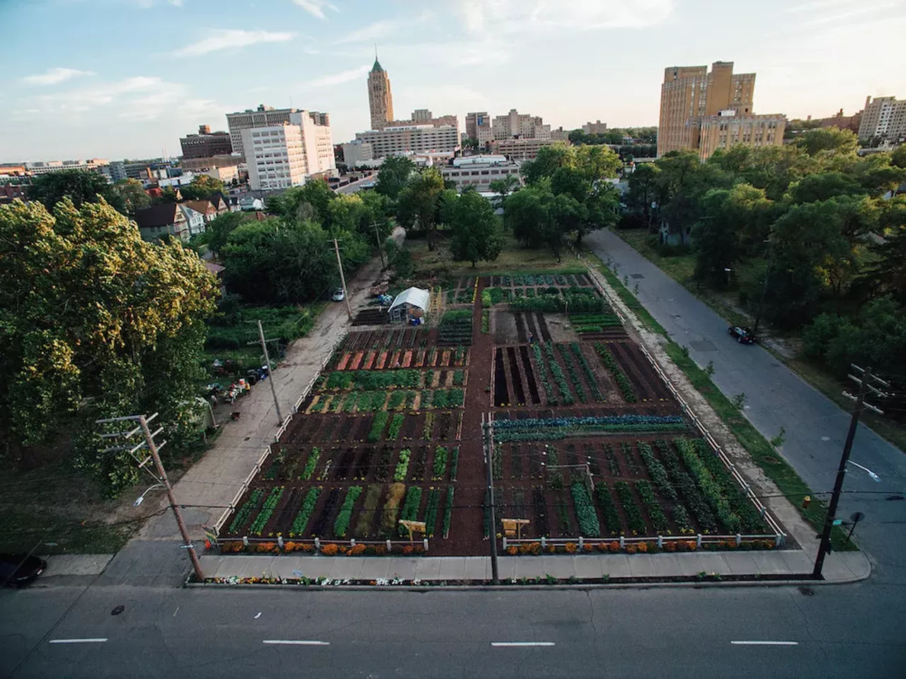 Detroit in bloom: a look at the city's urban farms and gardens ...